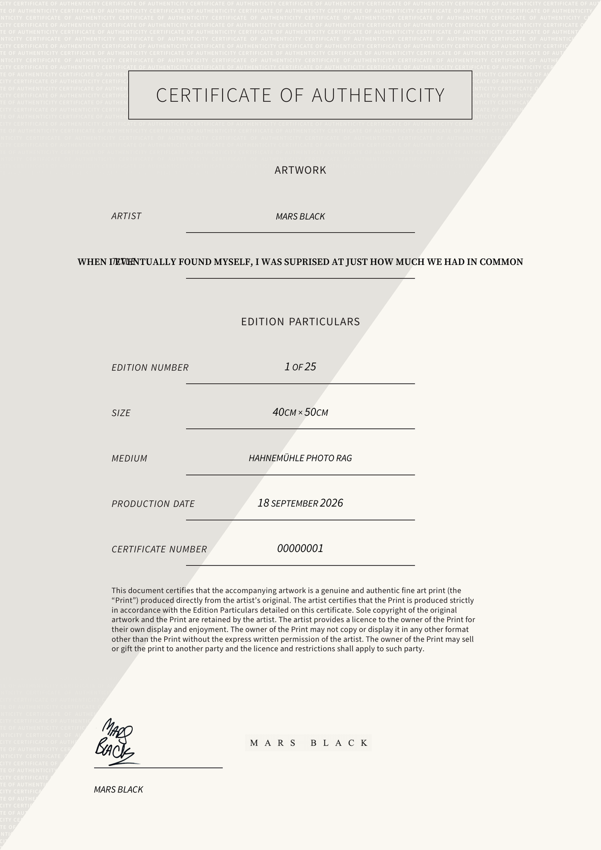 When i eventually found myself, i was suprised at just how much we had in common — Certificate of Authenticity