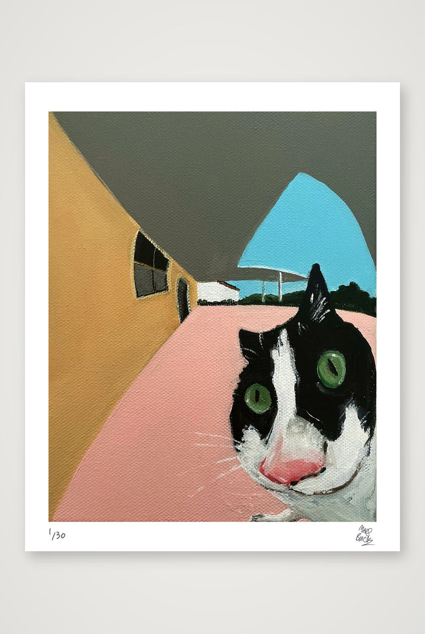 After a few lifetimes it did eventually start to wear off — 40×50cm, 16×20" Print only